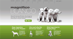 Desktop Screenshot of magnificoblanco.com